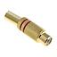 Conector RCA hembra G2-D4